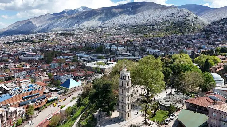 Bursa’da Profesyonel Halı Yıkama Rehberi: Bölge Bölge Derinlemesine Hijyen ve Temizlik